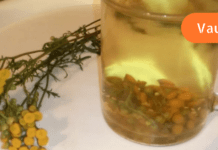 ძლიერი სასმელი, რომელიც მყისიერად მკურნალობს ათეროსკლეროზს! (რეცეპტი იხილეთ სტატიაში)!