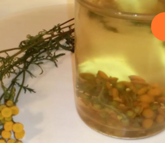 ძლიერი სასმელი, რომელიც მყისიერად მკურნალობს ათეროსკლეროზს! (რეცეპტი იხილეთ სტატიაში)!