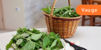 ესმცენარე სასარგებლოა სისხლდენისა და ანემიის დროს, რადგან ზრდის სისხლში ერითროციტებისა და ჰემოგლობინის რაოდენობას.