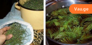 სამყაროში შეგიძლიათ იპოვოთ ბევრი ნატურალური საშუალება, რომელიც დაგეხმარებათ გათავისუფლდეთ ჯანმრთელობის პრობლემებისგან! ერთ-ერთი ასეთია ფიჭვის წიწვები!