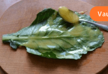 ნაკლებად ცნობილი საშუალება, რომელიც უებარი ყოფილა წელის ტკივილის დროს! ამის გარდა ვერაფერმა მიშელა!