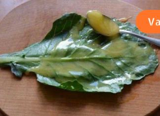 ნაკლებად ცნობილი საშუალება, რომელიც უებარი ყოფილა წელის ტკივილის დროს! ამის გარდა ვერაფერმა მიშელა!