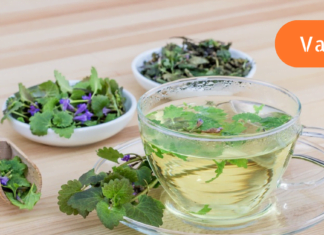 იმისათვის, რომ სკლეროზი არასდროს დაგემართოთ უნდა დაიწყოთ ამ ნაყენის გამოყენება! მე დღითიდღე მაოცებს შედეგი!