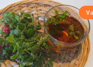 საკუთარი თავის ექიმი გავხდი! ნაყენით მოვირჩინე თორმეტგოჯა ნაწლავის ეროზია, რომელიც წლების განმავლობაში მტანჯავდა.