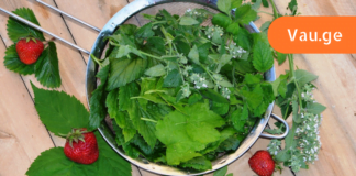 ამას არ გეტყვით არცერთი ექიმი! ამ ხალხური მეთოდით აიცილებთ კენჭის გავლას! დროა ყველამ იცოდეს!