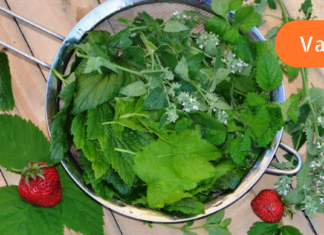 ამას არ გეტყვით არცერთი ექიმი! ამ ხალხური მეთოდით აიცილებთ კენჭის გავლას! დროა ყველამ იცოდეს!