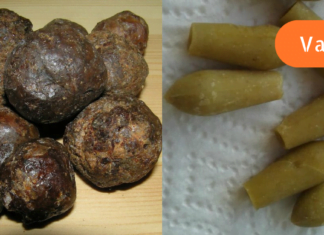 არსებობს ყნოსვის დარღვევის აღმდგენი უებარი წამალი ხალხურ მედიცინაში! გარანტირებული შედეგი!