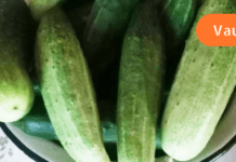 შეკრულობამ გამაწამა! რაც ეს უნიკალური საშუალება ვისწავლე, დასვენებული ვარ!