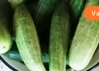 შეკრულობამ გამაწამა! რაც ეს უნიკალური საშუალება ვისწავლე, დასვენებული ვარ!