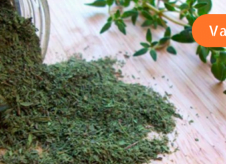 მცენარე, რომელიც 50 დაავადებას კურნავს!!! ამის შესახებ დროა ყველამ იცოდეს!