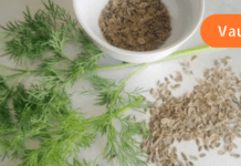 სასწრაფოდ!!! ვისაც მეტეორიზმის ნიშნები აქვს, ვურჩევ გაეცნოს ამ ფასდაუდებელ რეცეპტს, რომლის დახმარებითაც ეს პრობლემა სამუდამოდ მოგვარდება!