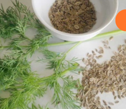 სასწრაფოდ!!! ვისაც მეტეორიზმის ნიშნები აქვს, ვურჩევ გაეცნოს ამ ფასდაუდებელ რეცეპტს, რომლის დახმარებითაც ეს პრობლემა სამუდამოდ მოგვარდება!