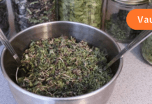 უკვე დადგენილია, რომ მენოპაუზასთან დაკავშირებული მძიმე დარღვევების თავიდან აცილება შესაძლებელია ხალხური მეთოდებით! ამის ცოდნა ყველა ქალს სჭირდება!