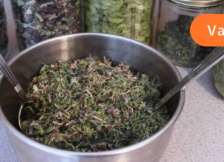 უკვე დადგენილია, რომ მენოპაუზასთან დაკავშირებული მძიმე დარღვევების თავიდან აცილება შესაძლებელია ხალხური მეთოდებით! ამის ცოდნა ყველა ქალს სჭირდება!