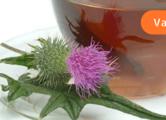 ჩემი მეუღლე ძალიან ემადლიერება ამ მცენარის ნაყენს! ეს გახლავთ ყველაზე ძლიერი ბუნებრივი ანტიბიოტიკი! ნეტავ აქამდე მცოდნოდა!