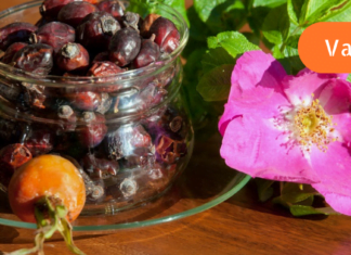 მინდა გასწავლოთ ერთი რეცეპტი, რომელიც ახალგაზრდობისა და ჯანმრთელობის ელექსირია! ამის ცოდნა ყველას გჭირდებათ!