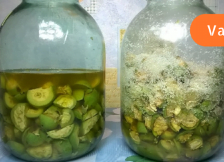 ეს უნიკალური პროდუქტი გამოიყენება კუჭის აშლილობის, ნაღვლის ბუშტის გაღიზიანების, ჩიყვის და გულ-სისხლძარღვთა სისტემის დაავადებების სამკურნალოდ.