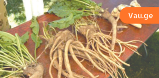 ის რასაც არავინ გეტყვით პირშუშხაზე!! ამ რეცეპტმა გადაარჩინა უამრავი ადამიანი! სახსრების განხრძლივი ტკივილის დროს გამოიყენეთ ეს!!