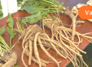 ის რასაც არავინ გეტყვით პირშუშხაზე!! ამ რეცეპტმა გადაარჩინა უამრავი ადამიანი! სახსრების განხრძლივი ტკივილის დროს გამოიყენეთ ეს!!