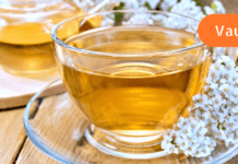 ყველაზე ძლიერი ბალახი, რომელიც თირკმელებში კენჭებს ანადგურებს!! თირკმელების გაწმენდა ასეთი მარტივი არასოდეს ყოფილა!!