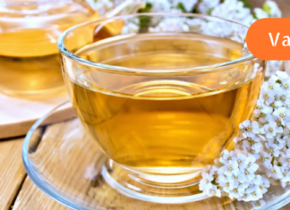 ყველაზე ძლიერი ბალახი, რომელიც თირკმელებში კენჭებს ანადგურებს!! თირკმელების გაწმენდა ასეთი მარტივი არასოდეს ყოფილა!!