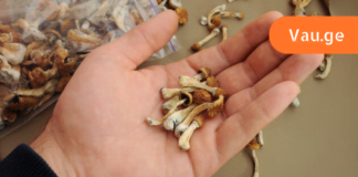 თუ გსურთ, რომ არასოდეს შეგაწუხოთ ღვიძლმა და თირკმელებმა მოამზადეთ ეს წამალი დღესვე!!! რეცეპტი, რომლის, ეფექტურობაშიც ეჭვს ვერ შეიტანთ!