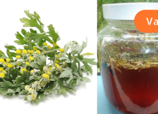 100%-ით ნატურალური რეცეპტი! ამის გამოყენების შემდეგ აღარ დაწირდებათ აფთიაქში შესვლა!! დაიწყეთ ამ საშუალების გამოყენება დღესვე!!!