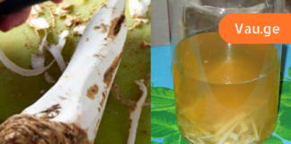 ეს აუცილებლად უნდა წაიკითხოთ!!! გაციებას მხოლოდ ასე გაუმკლავდებით იოლად სახლის პირობებში!!