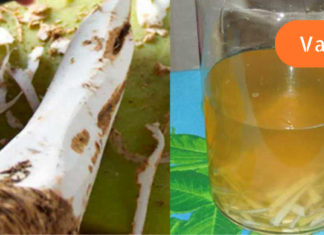 ეს აუცილებლად უნდა წაიკითხოთ!!! გაციებას მხოლოდ ასე გაუმკლავდებით იოლად სახლის პირობებში!!