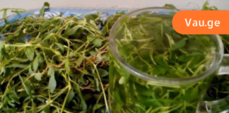 ეს ნაკლებად ცნობილი ბალახი ნებისმიერ ტკივილგამაყუჩებელზე უკეთესად გაგიყუჩებთ ტკივილს! აუცილებლად ჩაინიშნეთ რეცეპტი!