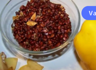 ეს ძლიერი და 3000 წლის წინანდელი წამალი კურნავს დისბაქტერიოზს! მის სამკურნალო გამოყენებას საზღვარი არ აქვს!!!