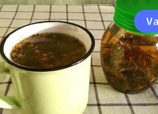 ინფორმაცია, რომელსაც აუცილებლად უნდა ფლობდეთ! აღკვეთეთ ანემია ამ საოცარი ნაყენის გამოყენებით!