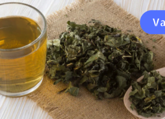 გთავაზობთ რეცეპტს, რომლის მიხედვით დამზადებული წამალი ორ კვირაში აწესრიგებს ძილს, ნერვებს და გულ-სისხლძარღვთა სისტემას. ნეტავ აქამდე მცოდნოდა!