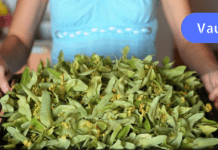 მე ვიპოვე მკურნალობის მეთოდი, რომელმაც მიხსნა ნერვული აშლილობისგან! გირჩევთ თქვენც სცადოთ, არ ინანებთ!