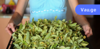 მე ვიპოვე მკურნალობის მეთოდი, რომელმაც მიხსნა ნერვული აშლილობისგან! გირჩევთ თქვენც სცადოთ, არ ინანებთ!