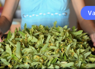 მე ვიპოვე მკურნალობის მეთოდი, რომელმაც მიხსნა ნერვული აშლილობისგან! გირჩევთ თქვენც სცადოთ, არ ინანებთ!