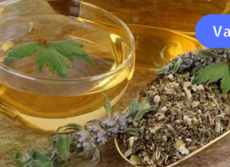 ხალხურ მედიცინაში აღმოვაჩინე რეცეპტი, რომელიც პირველი მკურნალია ჰიპერტონიკებისთვის!! გახდით საკუთარი თავის ექიმი!!