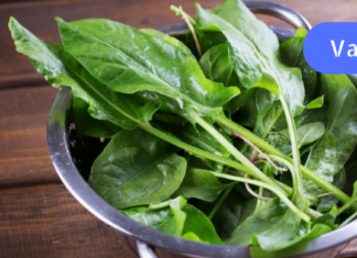 ეს მცენარე წამლებს გადაგაყრევინებთ! ხალხური რეცეპტი, რომელიც ჭიებს მოგაშორებთ!