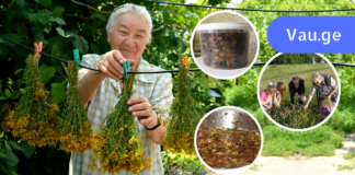 ზოგჯერ ხალხური მედიცინა უფრო ეფექტურია ვიდრე ტრადიციული მედიცინა! აუცილებლად სცადეთ ეს საშალება დაავადების საწყის ეტაპზე!!