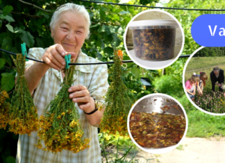 ზოგჯერ ხალხური მედიცინა უფრო ეფექტურია ვიდრე ტრადიციული მედიცინა! აუცილებლად სცადეთ ეს საშალება დაავადების საწყის ეტაპზე!!