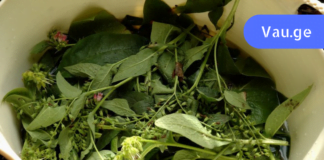 ამ გასაოცარი ნაყენის წყალობით ფეხები აღარ მიშუპდება და აღარც ვენები მაქვს ისე საშინლად დაბერილი! ვისაც გაწუხებთ გაგანიერებული ვენები, მოამზადეთ დღესვე!