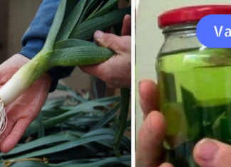 ამ რეცეპტებს შეუძლია დაგიცვათ დიაბეტისგან! ნახეთ რამდენად მარტივია მათი მომზადება!