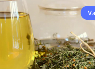 ქაცვის ფოთლები- წლების განმავლობაში დადასტურებული წამალი! ეს მცენარე მართლა ღვთის საჩუქარია!