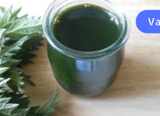 ნახეთ რა უნდა მოამზადოთ დიაბეტიკებმა, რომ სწრაფად შეძლოთ სისხლშ შაქრის დაწევა მედიკამენტების გარეშე!