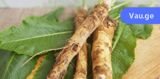 მთელს მსოფლიოს უყვარს ეს მცენარე! აღადგენს სახსრებისა და ძვლების ჯანმრთელობას!