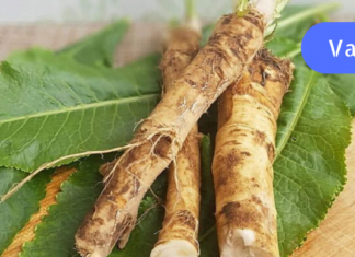 მთელს მსოფლიოს უყვარს ეს მცენარე! აღადგენს სახსრებისა და ძვლების ჯანმრთელობას!