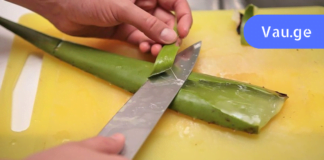 სახლის ნამდვილი ექიმი – ეგვიპტელებმა ამ მცენარეს “უკვდავების მცენარე” უწოდეს!