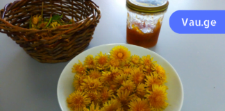 ვიტამინების საცავი: ექიმებმა ყველაზე ძლიერ მცენარედ დაასახელეს ბაბუაწვერა! ნეტავ აქამდე მცოდნოდა!