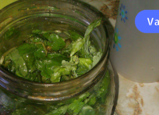 როგორ შევაჩეროთ შაკიკი წამებში მხოლოდ ერთი 100%-ით ბუნებრივი “წამლით”?