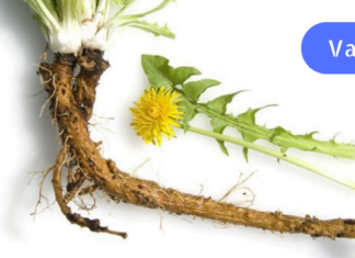 თუ მარტში ქრონიკული დაავადებები გიმწვავდებათ, მაშინ დღესვე მოამზადეთ ეს უებარი საშუალება! ამის ცოდნა ყველას სწირდება!!